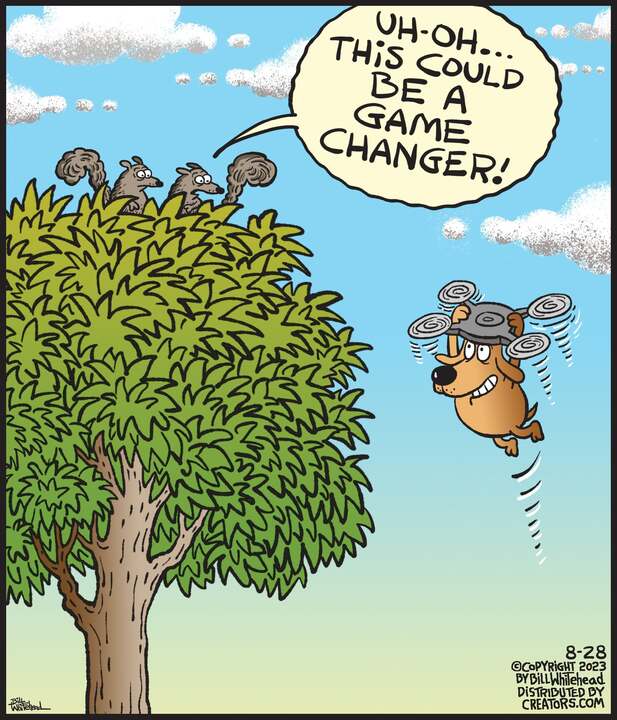 Free Range for Aug 28, 2023