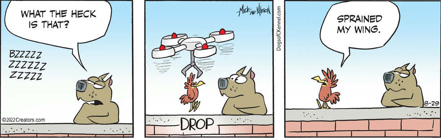 Dogs of C-Kennel for Aug 29, 2022