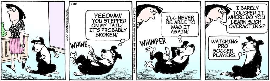 The Other Coast for Aug 29, 2022