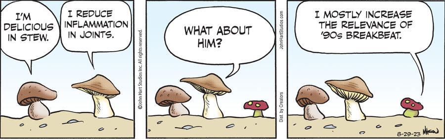 B.C. for Aug 29, 2023