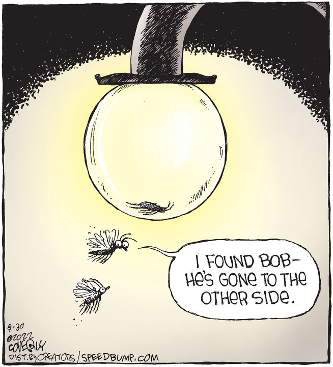 Speed Bump for Aug 30, 2022