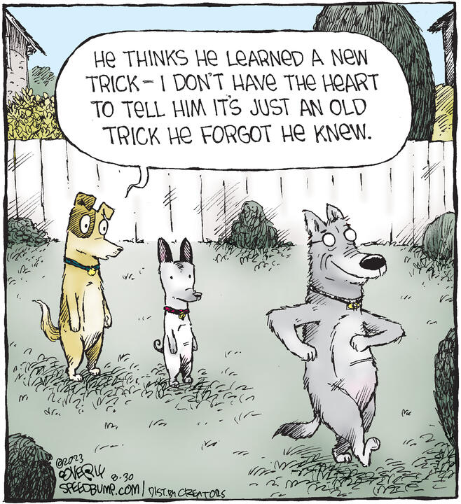 Speed Bump for Aug 30, 2023