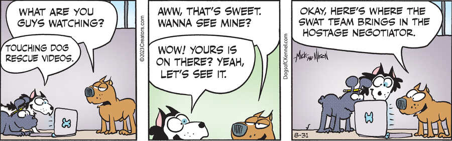 Dogs of C-Kennel for Aug 31, 2023