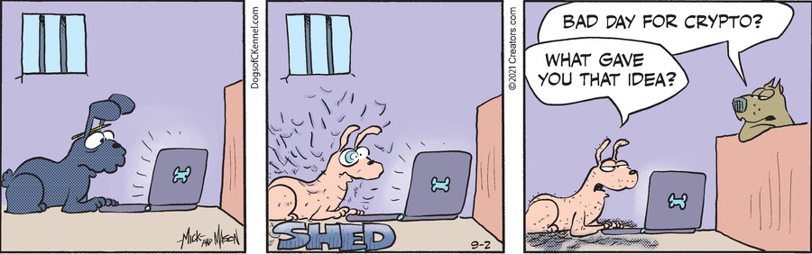 Dogs of C-Kennel for Sep 02, 2021