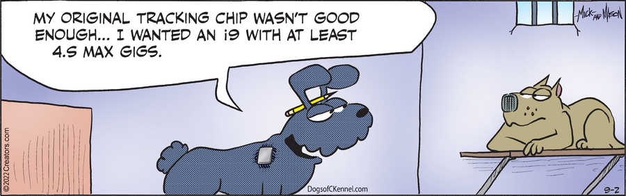 Dogs of C-Kennel for Sep 02, 2022
