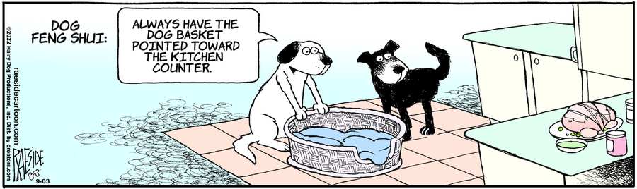 The Other Coast for Sep 03, 2022