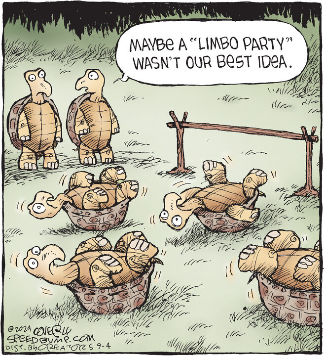 Speed Bump for Sep 04, 2024