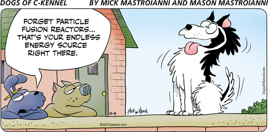 Dogs of C-Kennel for Sep 05, 2021