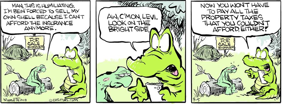 Shrimp and Grits for Sep 05, 2023