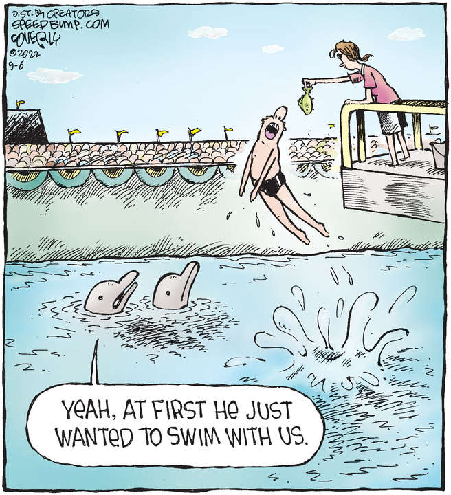 Speed Bump for Sep 06, 2022