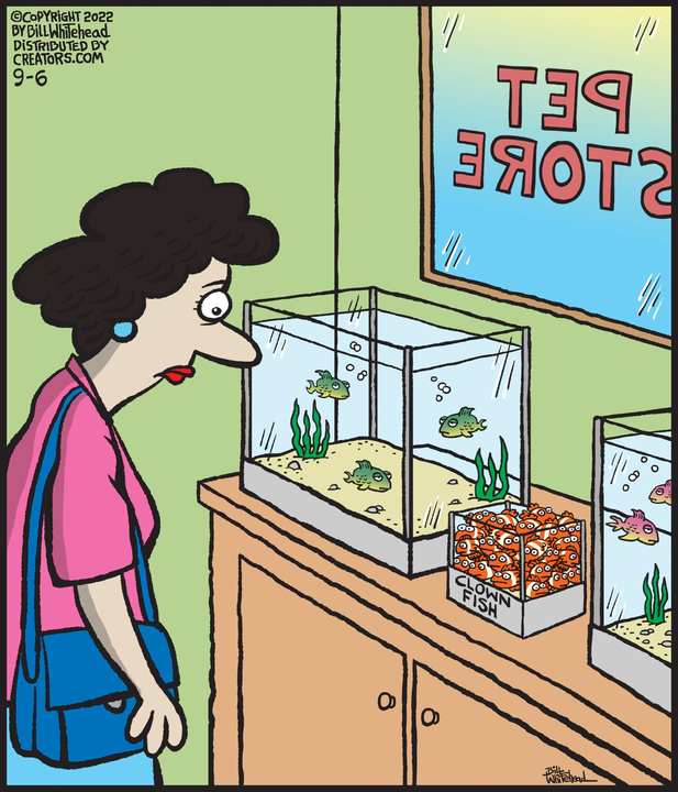 Free Range for Sep 06, 2022