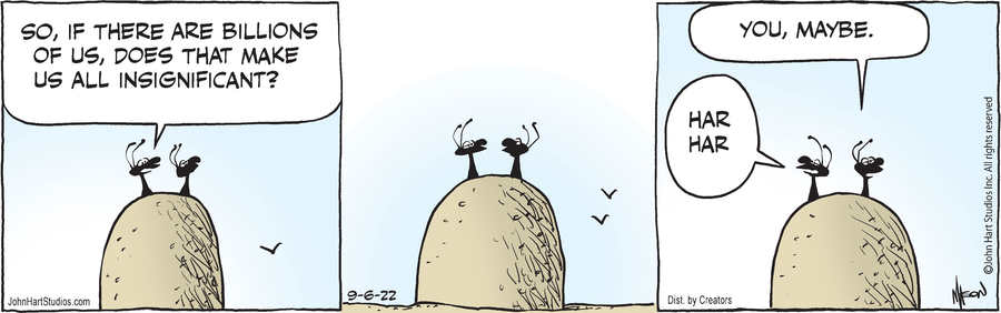 B.C. for Sep 06, 2022