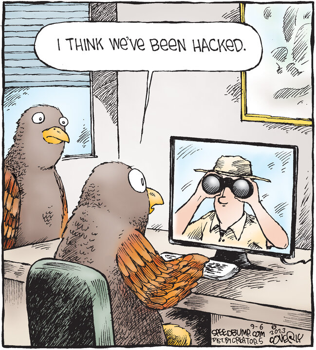 Speed Bump for Sep 06, 2023