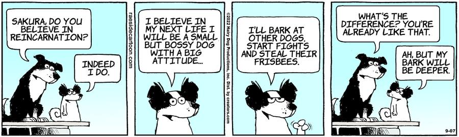 The Other Coast for Sep 07, 2022