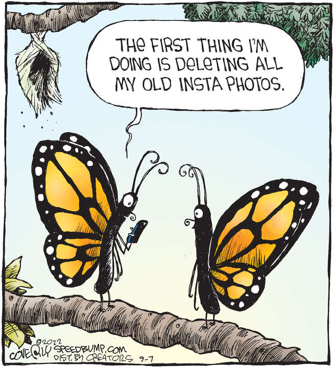 Speed Bump for Sep 07, 2022