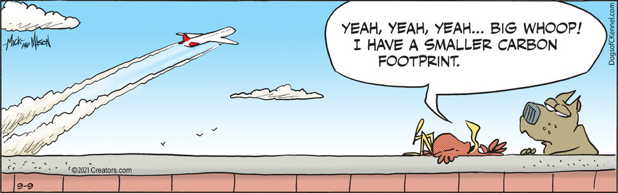 Dogs of C-Kennel for Sep 09, 2021