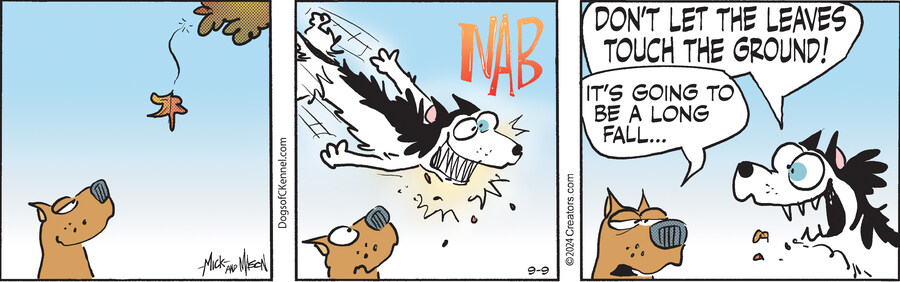 Dogs of C-Kennel for Sep 09, 2024