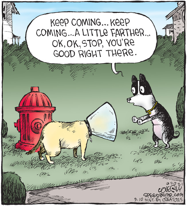 Speed Bump for Sep 10, 2021