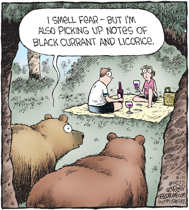 Speed Bump for Sep 11, 2023