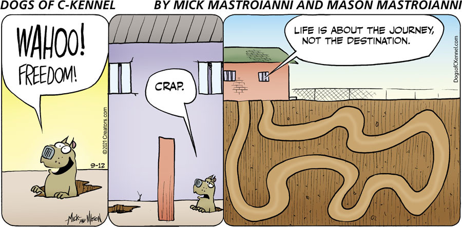 Dogs of C-Kennel for Sep 12, 2021