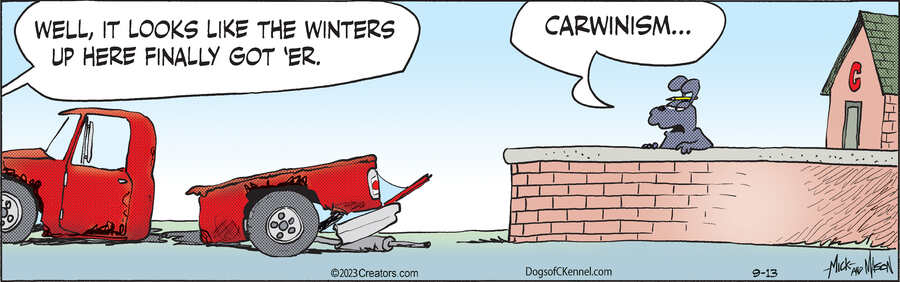 Dogs of C-Kennel for Sep 13, 2023