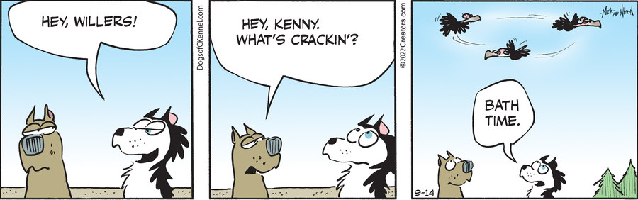 Dogs of C-Kennel for Sep 14, 2022