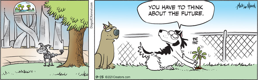 Dogs of C-Kennel for Sep 15, 2021
