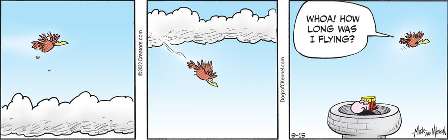 Dogs of C-Kennel for Sep 15, 2022