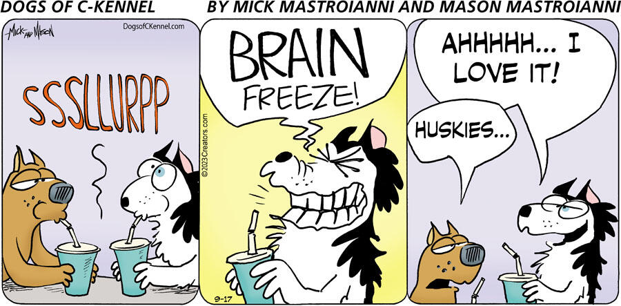 Dogs of C-Kennel for Sep 17, 2023