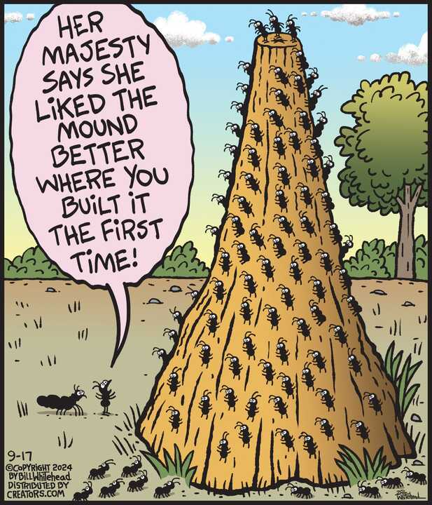 Free Range for Sep 17, 2024