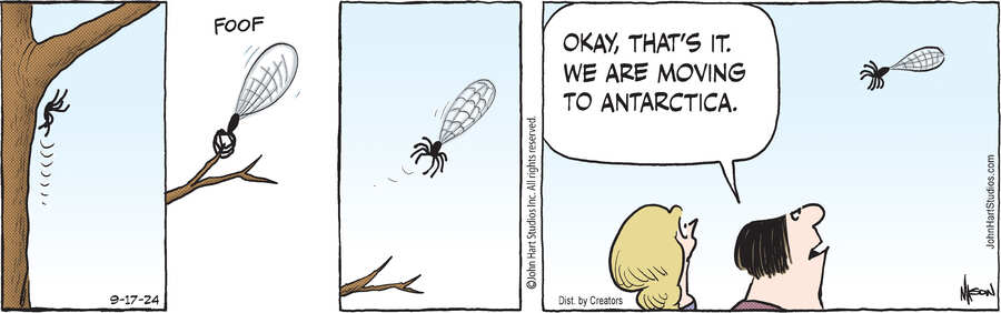 B.C. for Sep 17, 2024