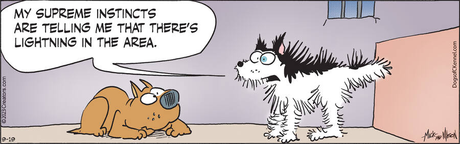 Dogs of C-Kennel for Sep 19, 2023