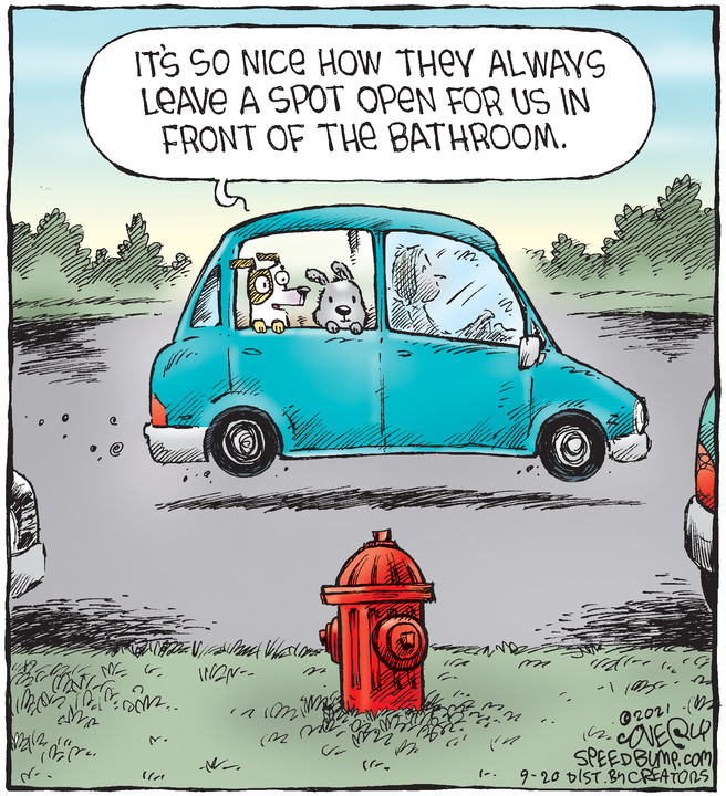 Speed Bump for Sep 20, 2021