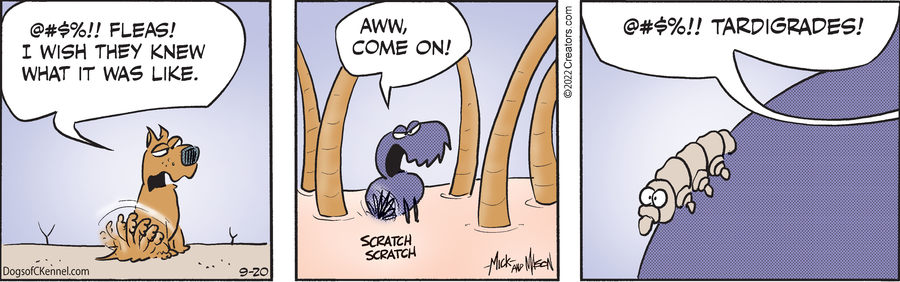 Dogs of C-Kennel for Sep 20, 2022