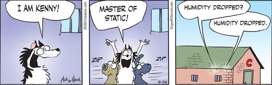 Dogs of C-Kennel for Sep 24, 2021