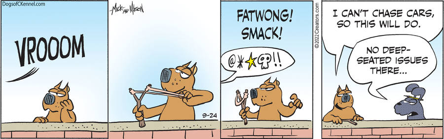 Dogs of C-Kennel for Sep 24, 2022