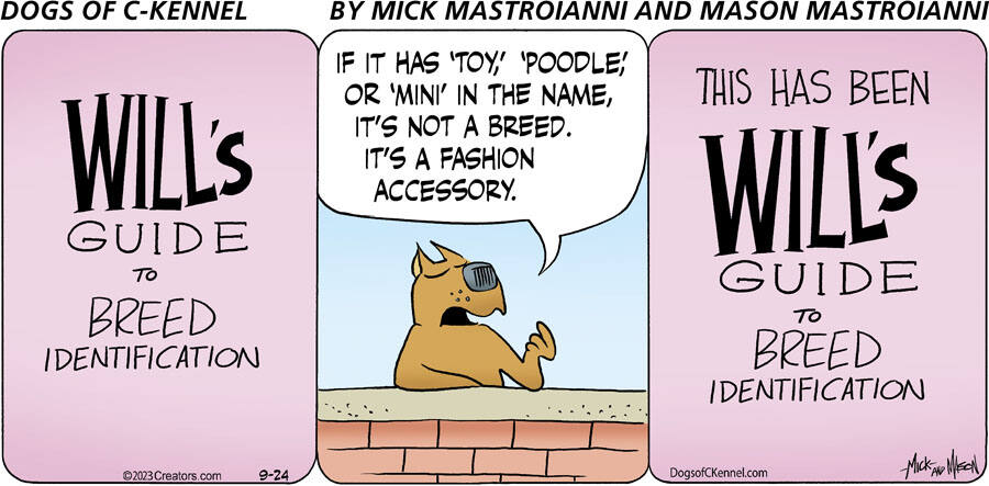Dogs of C-Kennel for Sep 24, 2023