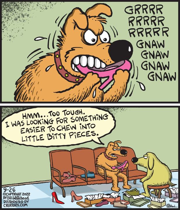 Free Range for Sep 26, 2022