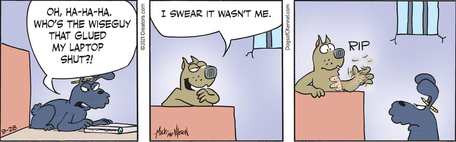 Dogs of C-Kennel for Sep 28, 2021