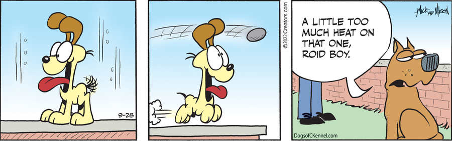 Dogs of C-Kennel for Sep 28, 2022