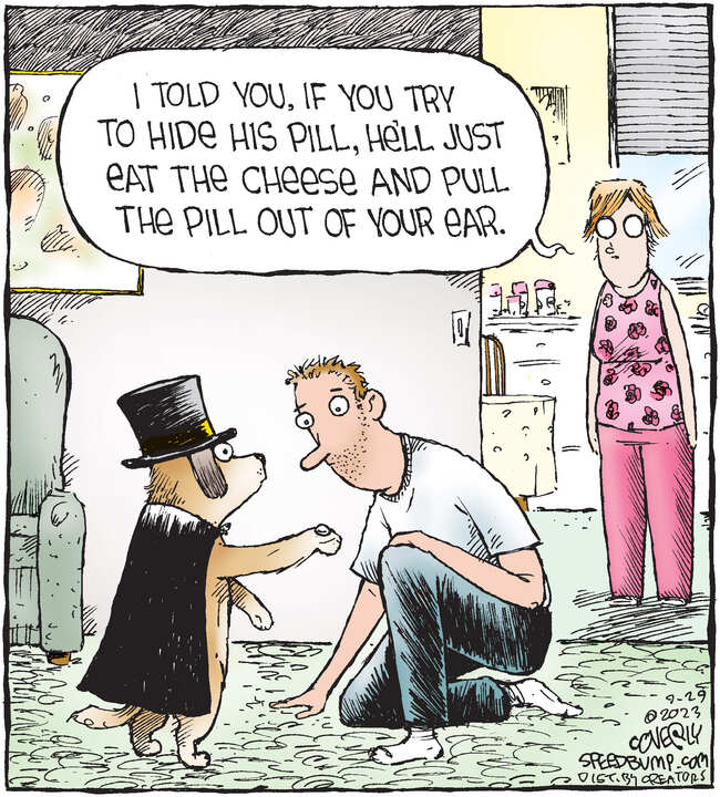 Speed Bump for Sep 29, 2023