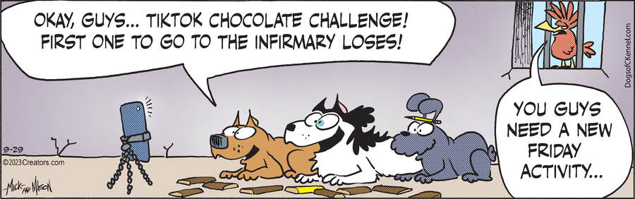 Dogs of C-Kennel for Sep 29, 2023