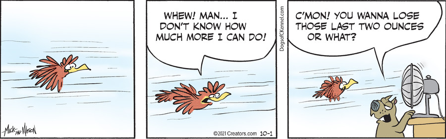 Dogs of C-Kennel for Oct 01, 2021