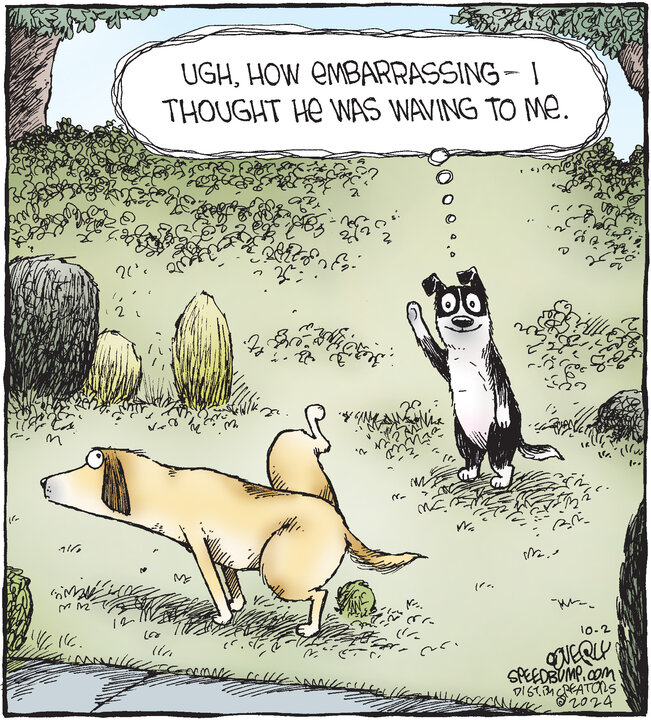 Speed Bump for Oct 02, 2024