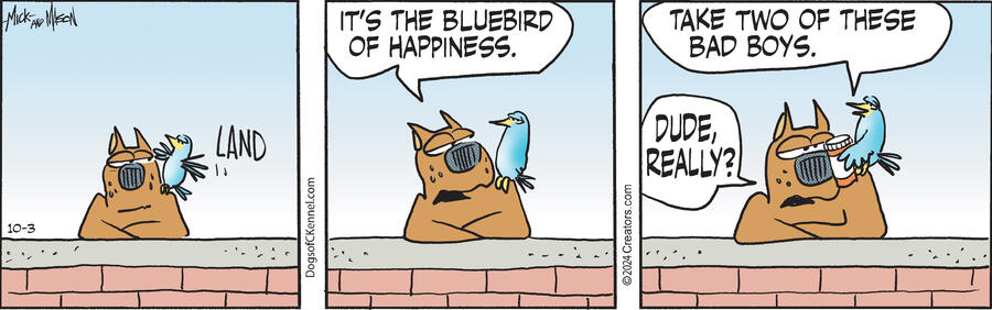 Dogs of C-Kennel for Oct 03, 2024