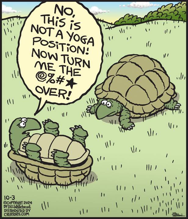 Free Range for Oct 03, 2024