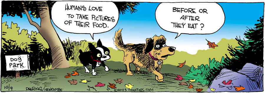 Zack Hill for Oct 04, 2023