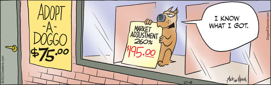 Dogs of C-Kennel for Oct 06, 2022