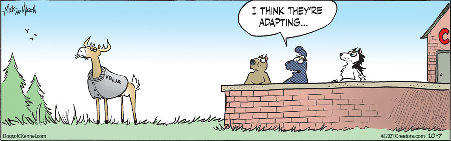 Dogs of C-Kennel for Oct 07, 2021