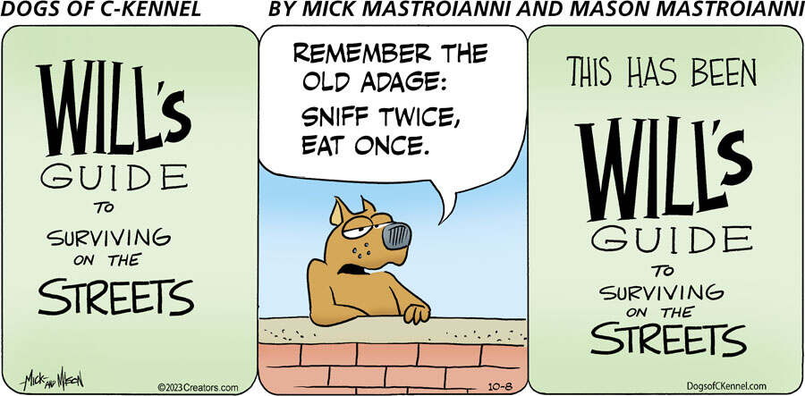 Dogs of C-Kennel for Oct 08, 2023